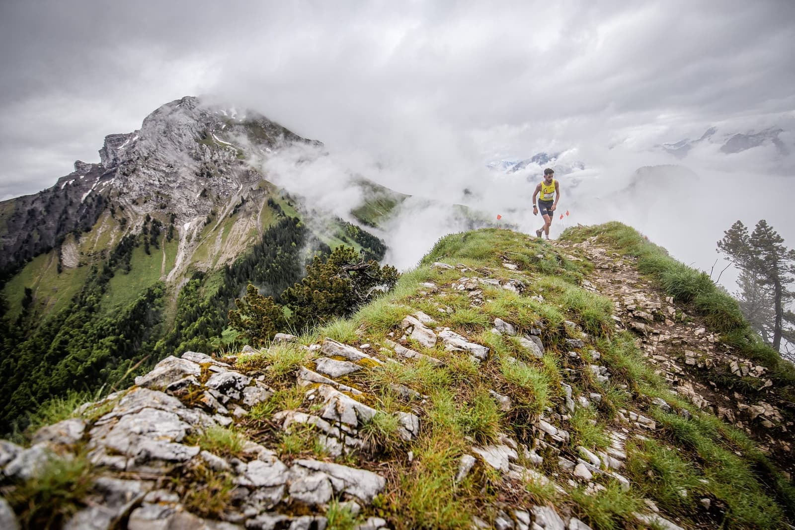 Entraînement trail : structurer un cycle de 3 mois (plan complet)