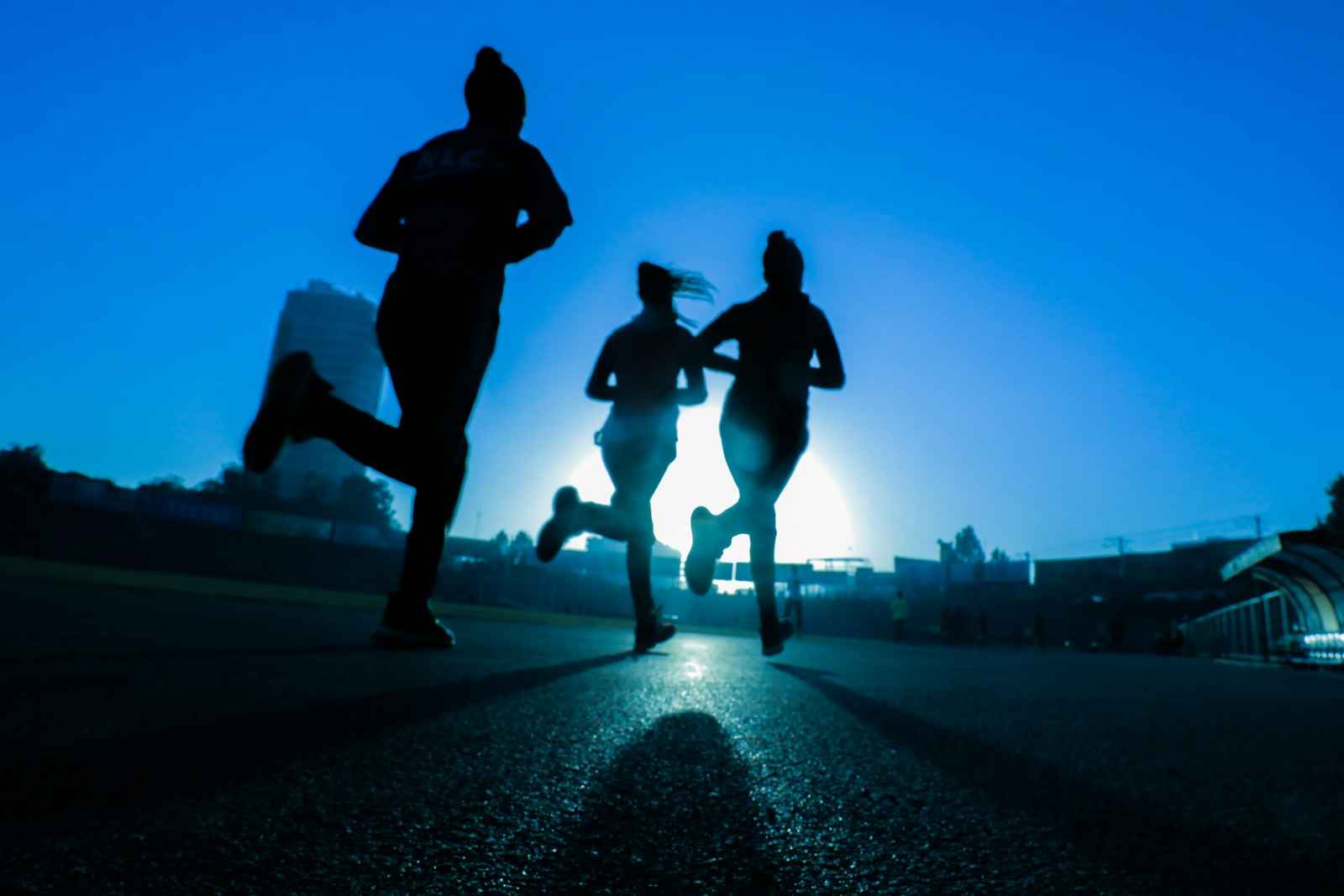 Stage trail ou coach en ligne : que choisir pour progresser ?